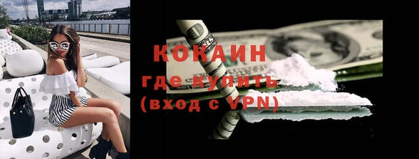 хмурый Алексин