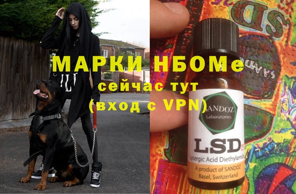 хмурый Алексин