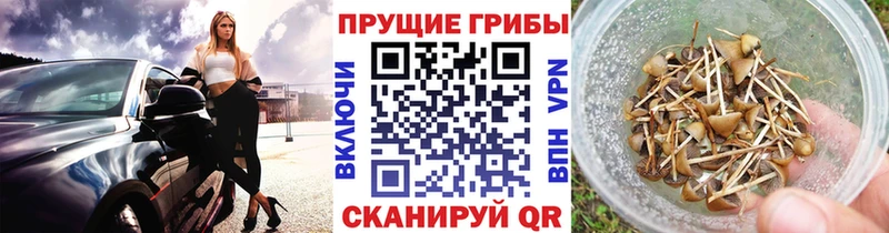 Псилоцибиновые грибы прущие грибы ссылка на мегу ССЫЛКА Адыгейск